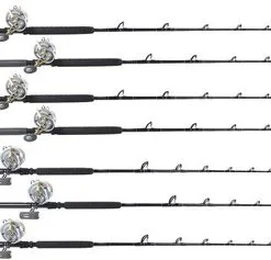 Shimano Talica / TackleDirect Platinum Hook Canyon Ready Package