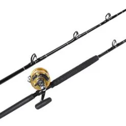 Penn International 50VISX / TackleDirect Platinum Hook Standup Combo