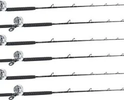 Shimano Talica TAC20BFC / TackleDirect Platinum Hook White Marlin Package W/ 6 Combos