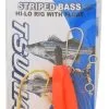 Tsunami Striped Bass Hi Lo Rig W/ Floats & Circle Hook